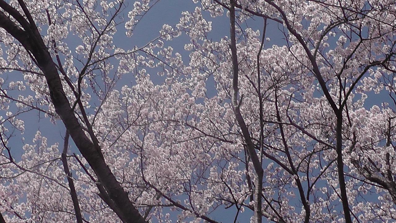 Отель Nikkoen Nishiwaki Экстерьер фото